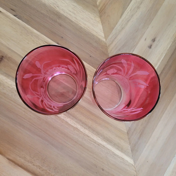 Vintage Cranberry Red Water Lily Marsh Cattail etched glass drinking tumblers x2 - Picture 3 of 7
